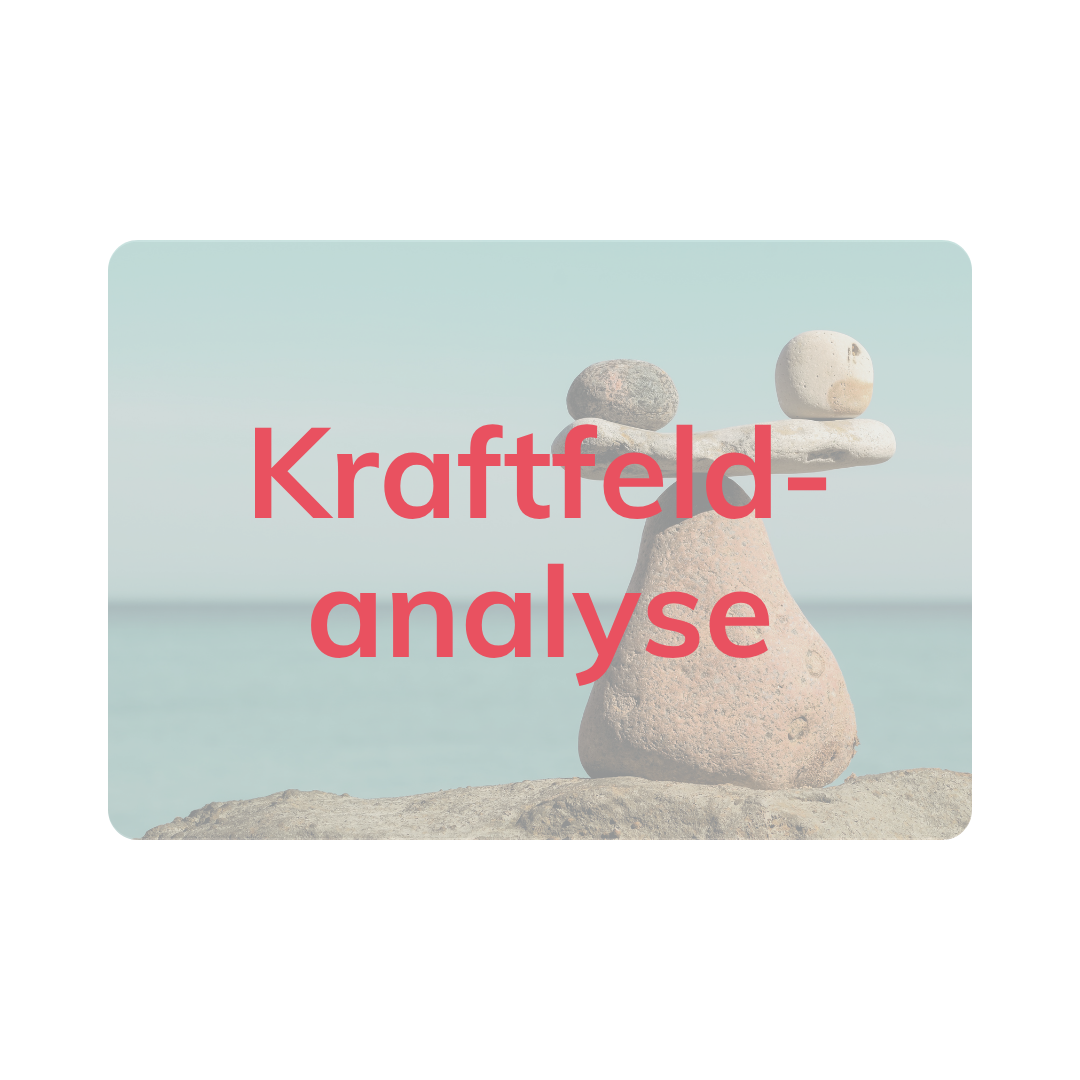 Kraftfeldanalyse Kraftfeldanalyse